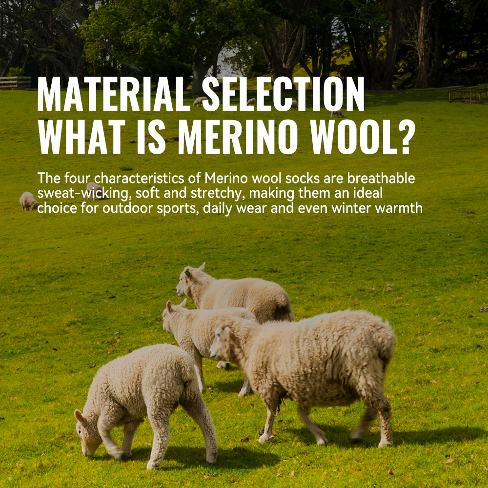 WRELS 1/2/3 Merino Wool Socks  - Thermal Sock Wool のレビューと価格